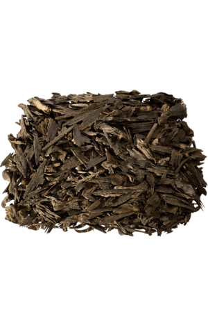 تأثير العود على العالم